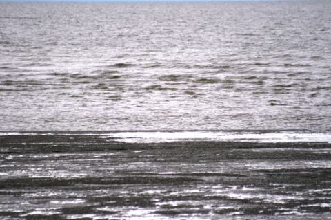 1990 Chevrolet Suburban - The image shows a body of water with ripples, meeting a dark, textured shoreline under an overcast sky.