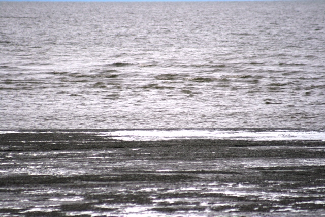 calm water meets a dark, textured shore under a pale sky