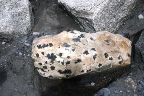 1990 Chevrolet Suburban - A rock covered in dark spots sits on the sand near other rocks and a chain.