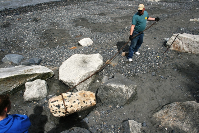 Man pulling a chain attached to a log on a rocky shore
