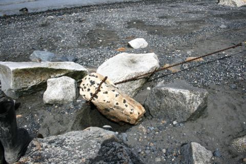 1990 Chevrolet Suburban - A rock with dark spots is secured by a chain to a larger rock on a beach with scattered stones and water in the background.