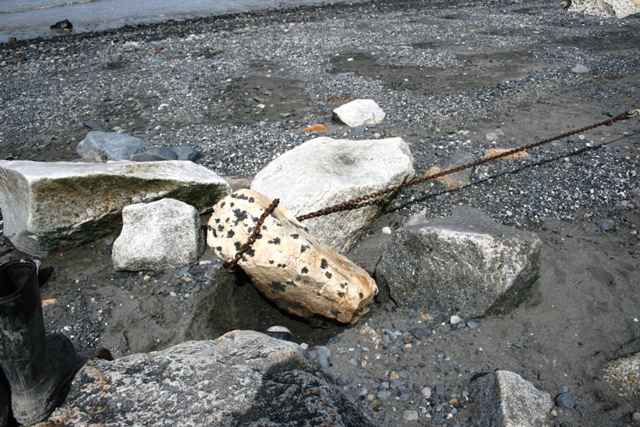 rock with black spots chained to a larger rock on a gravelly shore