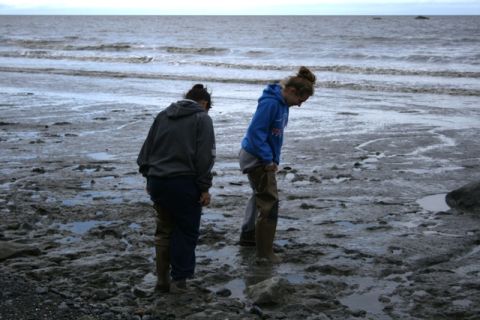 1990 Chevrolet Suburban - Two individuals examine the tidal flats at Captain Cook State Park on a cloudy day.
