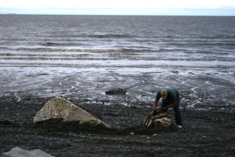 1990 Chevrolet Suburban - A person is digging on a rocky beach near the ocean on an overcast day.