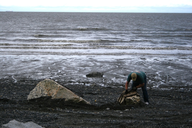 Person digging on a rocky beach with the ocean in the background