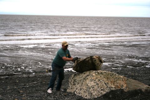 1990 Chevrolet Suburban - Man attempts to move a large rock on a beach with the ocean in the background.