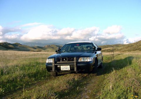 1998 Ford Crown Victoria - California HP