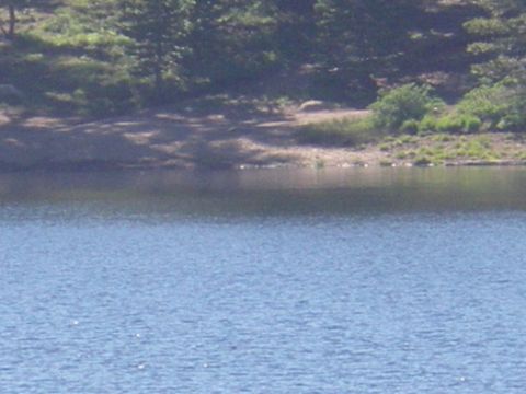 1991 Ford Bronco - A body of water stretches towards a distant, tree-covered shoreline.