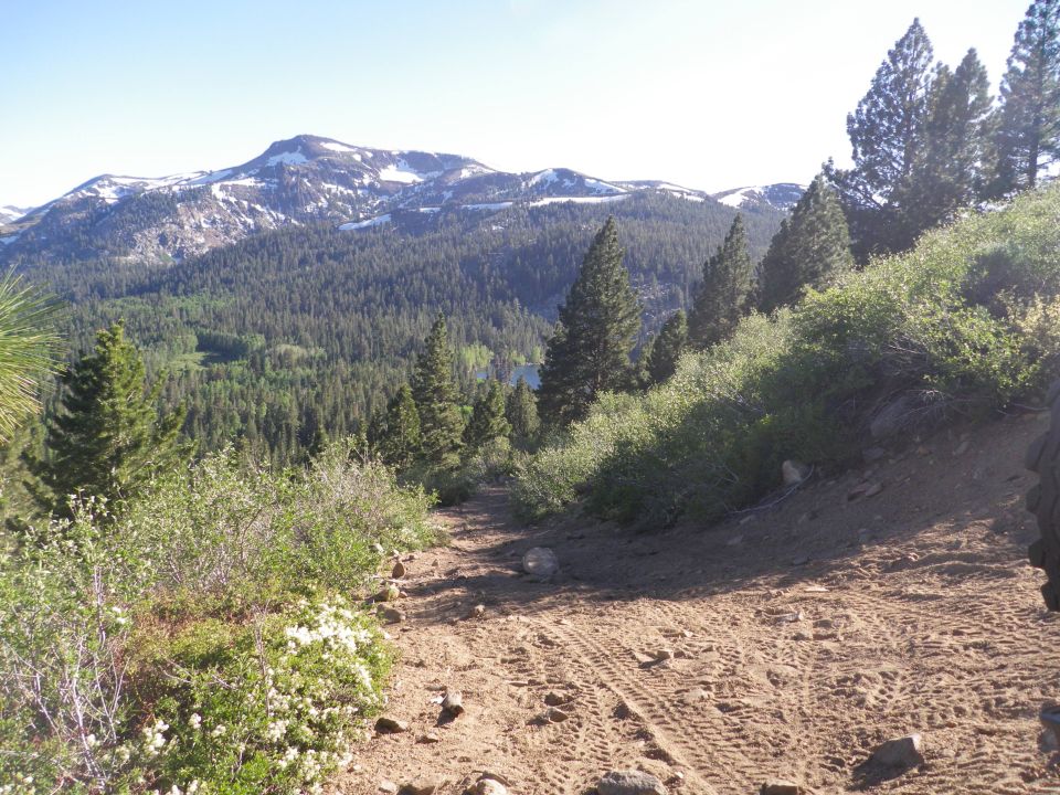 Dirt trail with tire tracks leading towards a forested valley and snow-capped mountains
