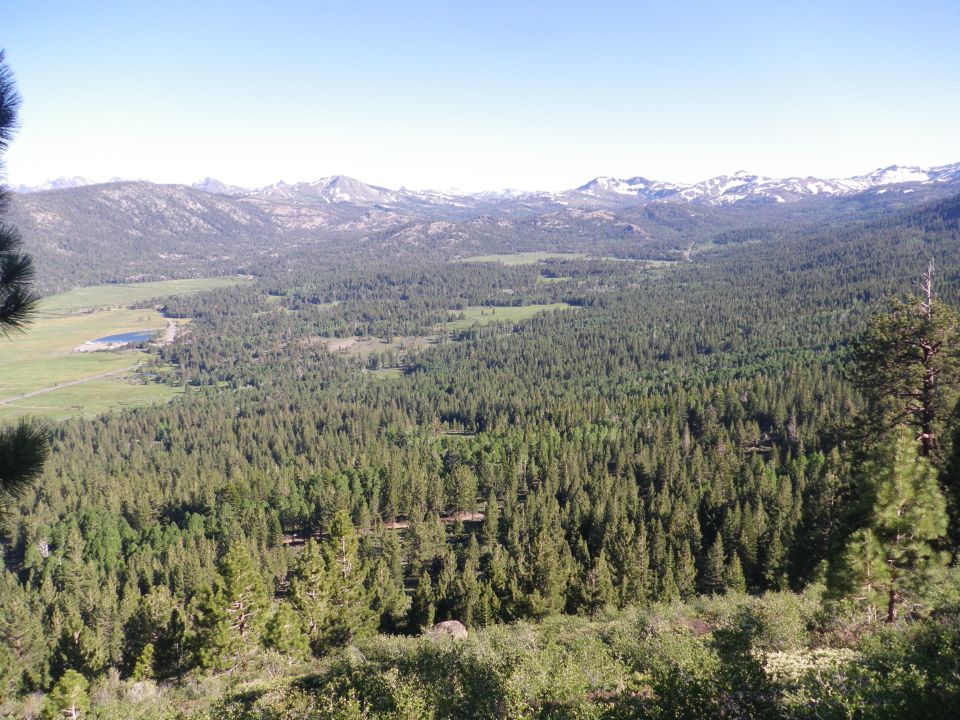 wide shot of a valley with trees and mountains in the distance