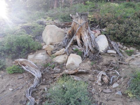 1991 Ford Bronco - A tree stump is secured with straps on a rocky, vegetated hillside. The Supermotors.net logo is in the lower right corner.