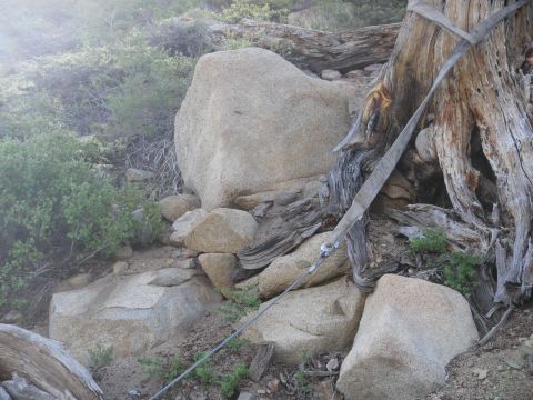 1991 Ford Bronco - A tree is strapped to a rock formation in a rocky, brush-covered outdoor area.