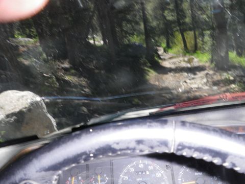 1991 Ford Bronco - Driving through a forest on a rough, unpaved path.