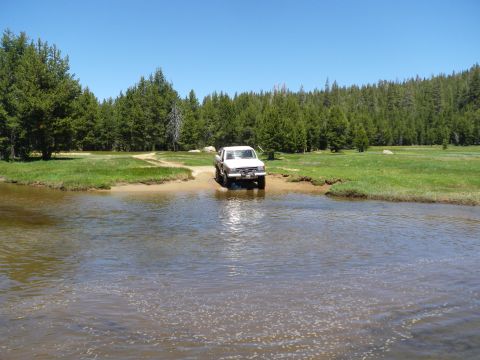 1991 Ford Bronco - A white pickup truck navigates a river crossing surrounded by lush green fields and dense pine trees under a clear blue sky.