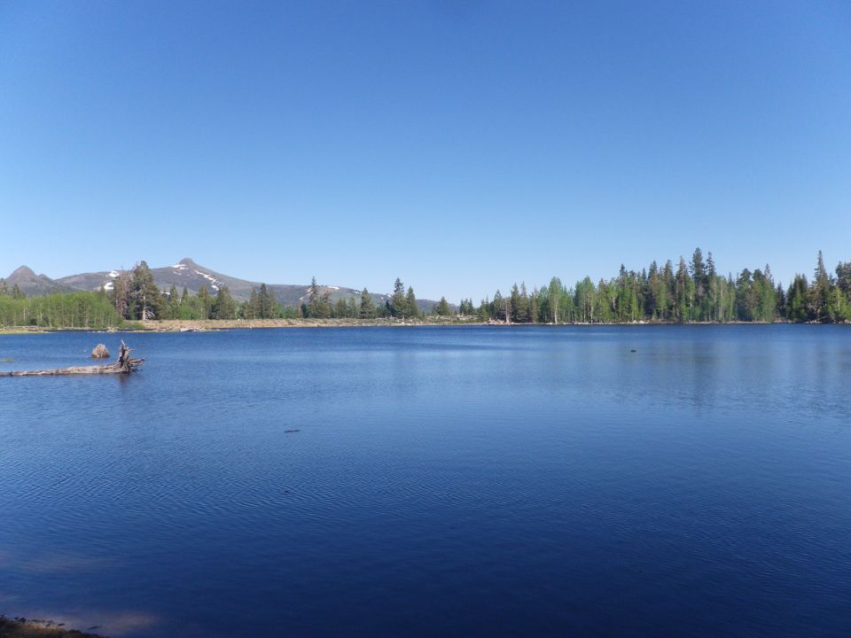 Wide shot of a blue lake with trees and mountains in the background under a clear sky. A log is in the water on the left