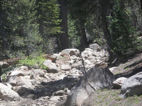 1991 Ford Bronco - A rocky trail winds through a forest with large boulders and pine trees.
