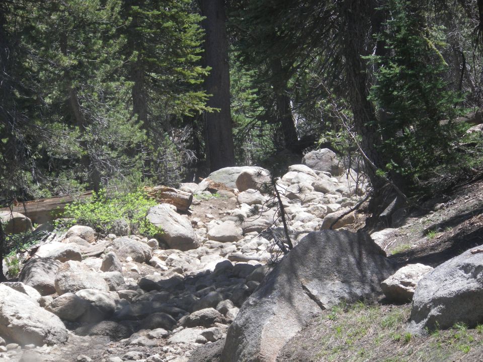 Rocky mountain trail with large boulders and pine trees
