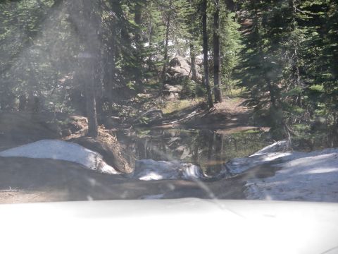 1991 Ford Bronco - A forest landscape features a tranquil pond reflecting the surrounding trees and sky.