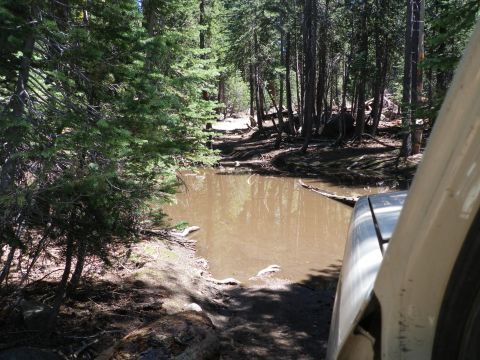 1991 Ford Bronco - Navigating a muddy obstacle on a forest trail.