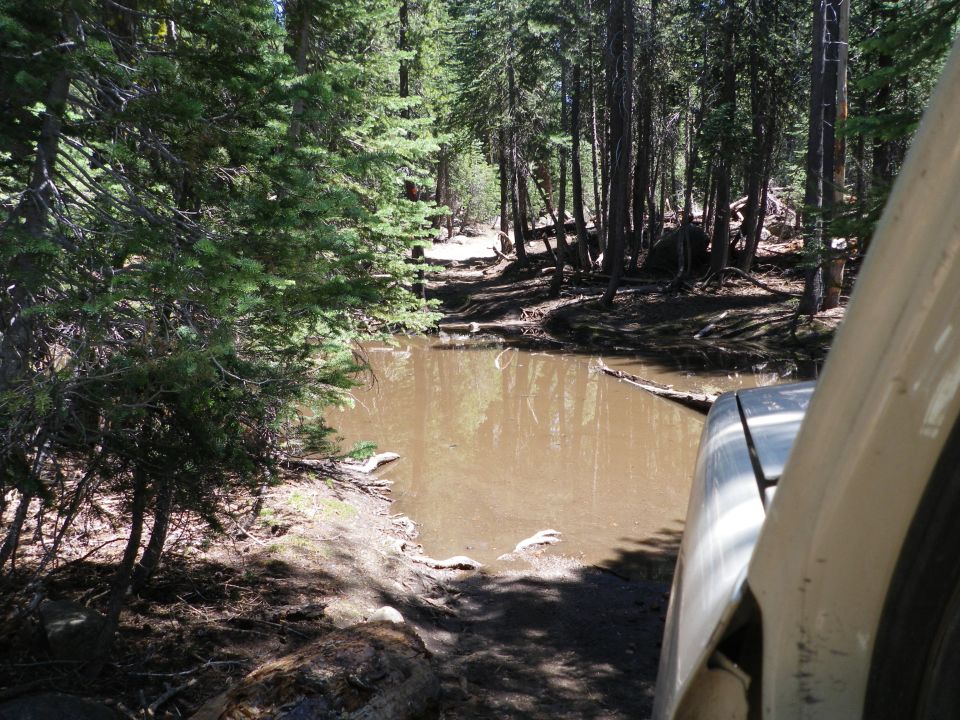 Vehicle approaching a muddy puddle on a wooded trail. Part of the vehicle's front is visible on the right