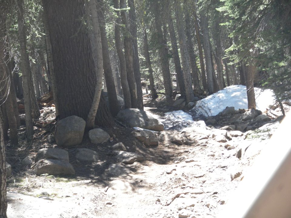Forest path with snow patch and rocks