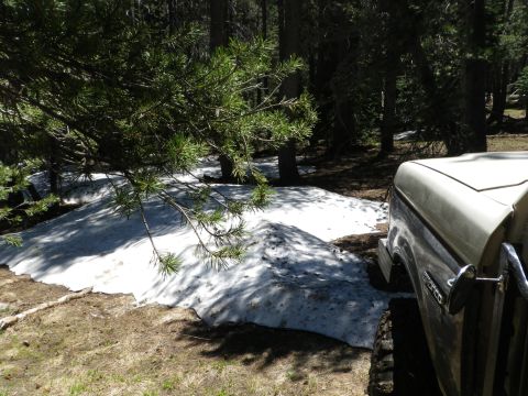 1991 Ford Bronco - A Ford Bronco is partially visible in a wooded area with snow on the ground.