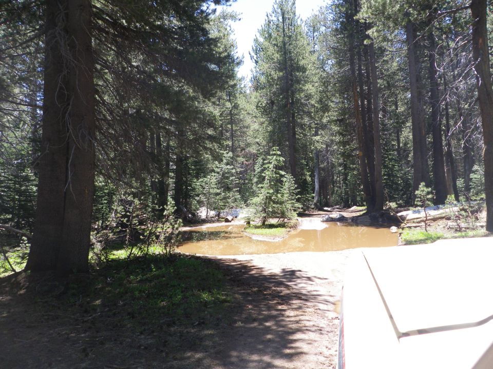 Dirt road leads to muddy puddle in forest. Part of a white vehicle visible in foreground