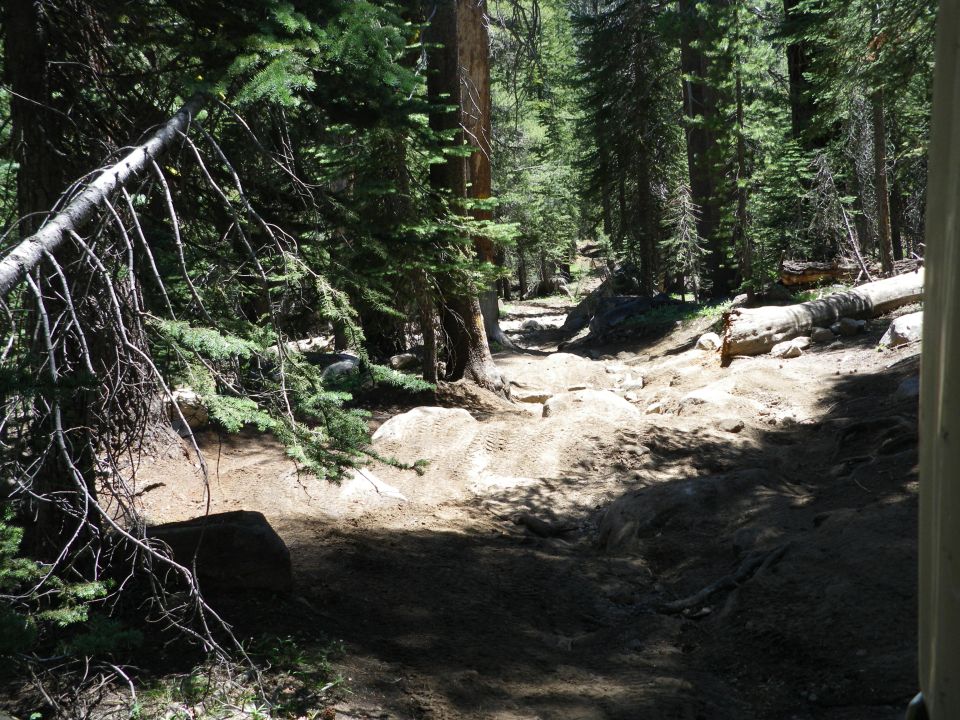 Dirt trail winding through a forest with fallen trees and rocks