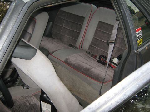 1985 Ford Mustang - The interior of a 1985 Ford Mustang shows gray velour rear seats with red piping and a Holley sticker on the window.