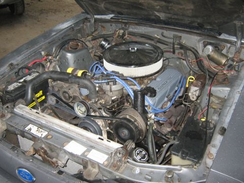 1985 Ford Mustang - Engine bay of a Ford vehicle, likely a Mustang, with V8 engine components visible.