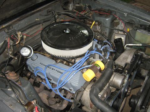 1985 Ford Mustang - Close-up view of a Ford V8 engine, showing the air intake and valve covers.