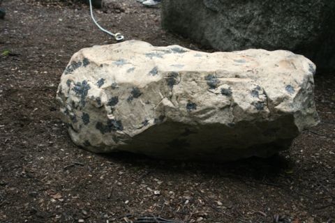 1990 Chevrolet Suburban - A large, rough-textured rock with dark mineral inclusions rests on the forest floor.