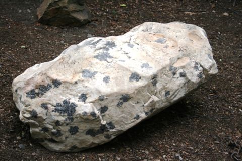 1990 Chevrolet Suburban - A large, light-colored rock with dark, splotchy inclusions rests on the ground, possibly in a garden setting.