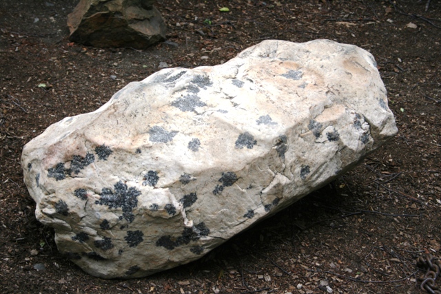 Large rock with dark mineral inclusions on the ground