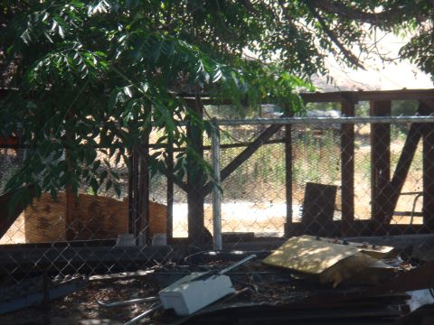 junk and debris piled up behind a chain-link fence with trees overhead
