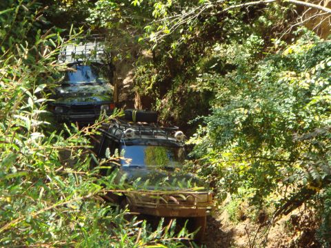 1983 Ford Bronco - Coon Creek Off-Road Park, Dyersburg, TN Oct. 20, 2007