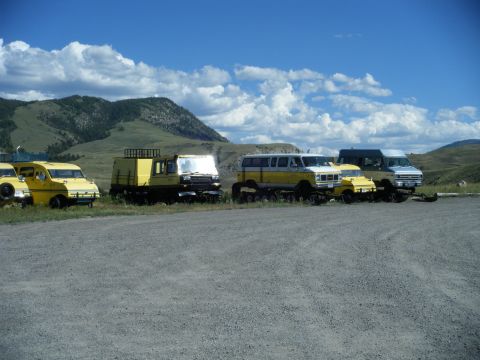 1981 Ford E350 - A collection of specialized vehicles, including vans and trucks with tracks, are parked outdoors.