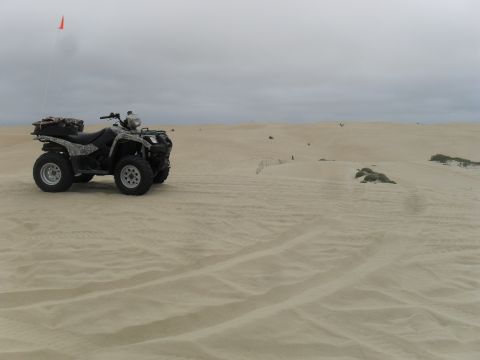 1991 Ford F-350 - An all-terrain vehicle sits on a sand dune under a cloudy sky, with distant dunes and vegetation visible.