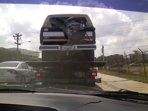 1990 Ford Bronco - Rear view of a 1990 Ford Bronco being transported on a flatbed truck, with a spare tire cover a fish graphic.