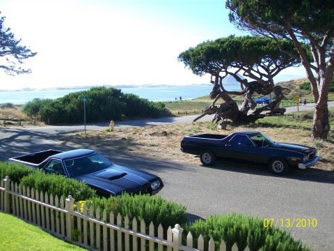 1973 Ford Ranchero - Two black Ford Rancheros are parked on a road with a scenic ocean view and a distinctive gnarled tree.