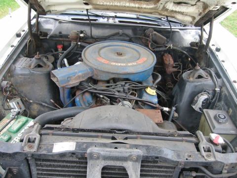1971 Ford Ranchero - The engine bay of a 1971 Ford Ranchero shows a V8 engine with a blue air cleaner assembly.