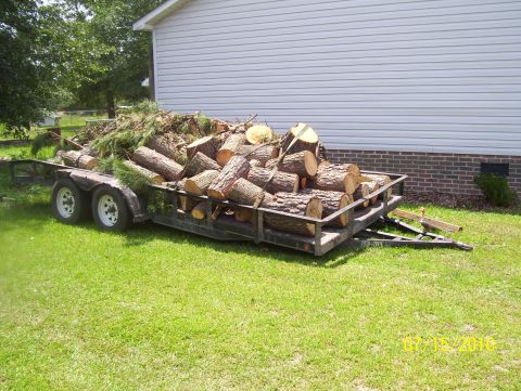 1978 Ford Bronco - A trailer filled with cut logs and pine branches sits on a grassy lawn next to a house, with a Supermotors.net watermark visible.