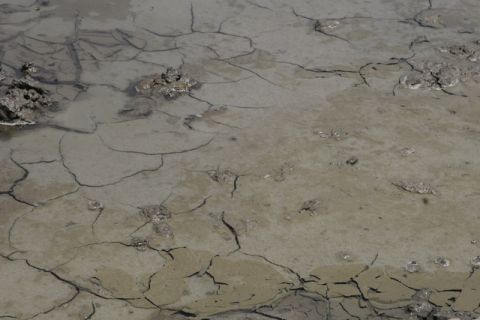 1989 Ford Bronco - The image shows a scene of cracked mud and shallow water, with a watermark from Supermotors.net.