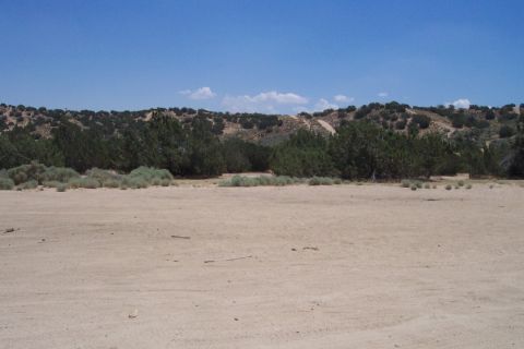 1995 Ford Bronco - A wide view of a dry, arid landscape with sparse vegetation and hills in the background.