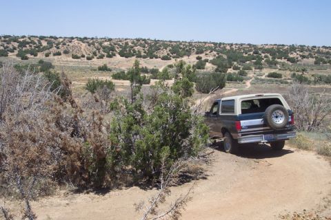 1995 Ford Bronco - A dark green Ford Bronco with a tan top is parked on a dirt road in a dry, hilly area with sparse vegetation.