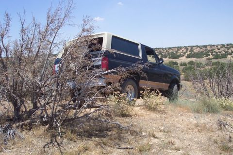 1995 Ford Bronco - A black and tan Ford Bronco is partially obscured by dry brush in a desert-like environment.