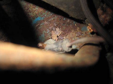 1979 Ford Bronco - Detail of corroded metal and wiring, likely from an older vehicle's undercarriage.