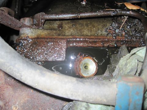 1979 Ford Bronco - A close-up view of a corroded engine component submerged in a mixture of oil and water, indicating potential mechanical issues.