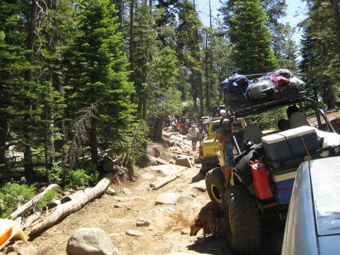 1986 Ford Bronco - A convoy of off-road vehicles navigates a challenging, rocky path through a dense forest.