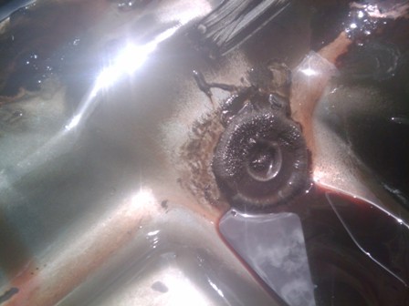 1993 Ford Bronco - Debris in the transmission pan suggests internal wear or damage.